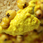 turmeric_hummus3 Turmeric hummus