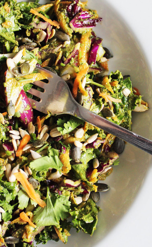 Raw Kale Salad with Red Cabage and Seeds The AntiCancer Kitchen